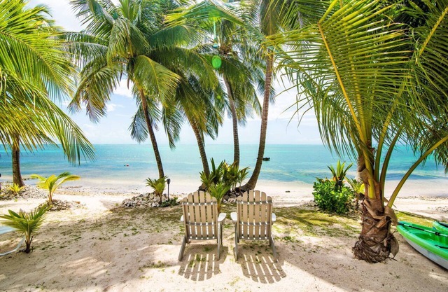 Beach Cottage w/Kayaks, Snorkeling & A/C Glass Living Room by the Ocean!