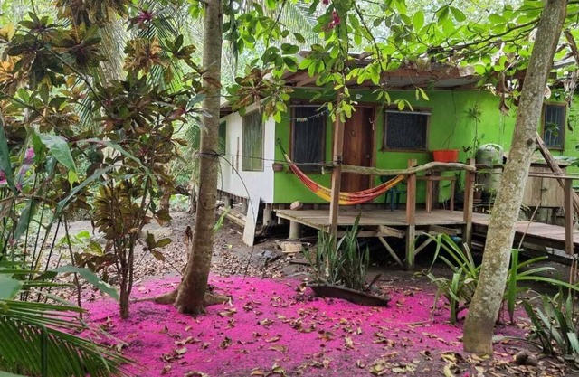 BeachFront Apartment, 45 meter from sea,nsorounded by wild nature,neco friendlyn