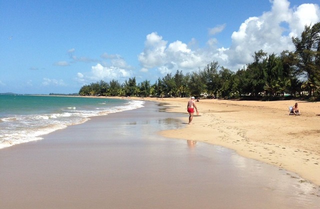 Beachfront Condo by the Wyndham RioMar 35 min from Airport 15 min El Yunque