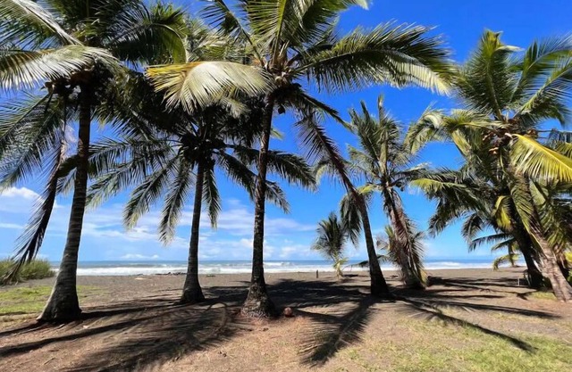 Beachfront-Luxury-Wildlife-Fast internet
