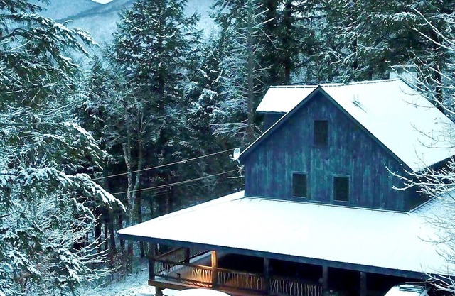 Bear-Foot Lodge Killington, Private! Sauna/Gameroom. Perfect for Large Groups!