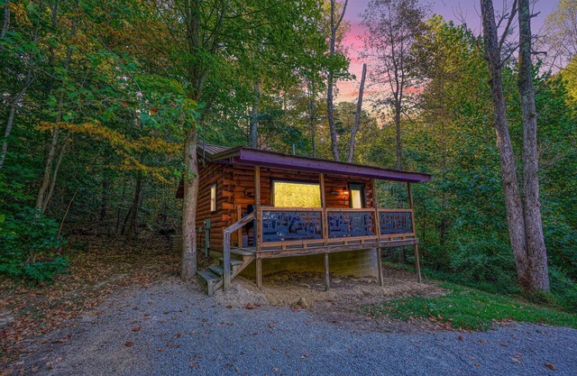Bearadise Cove: Pet friendly + private couples cabin w/hot tub in Hocking Hills