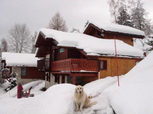 Beau chalet au départ des pistes - Chalet 6 pièces 12 personnes MAE-4869