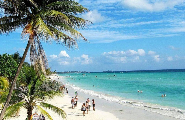 Beautiful 2-bed Apartment in Sunny Jamaica