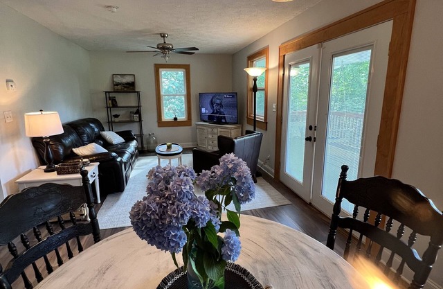 Beautiful 2 BR 1 BA Cabin in Blue Ridge Mountains