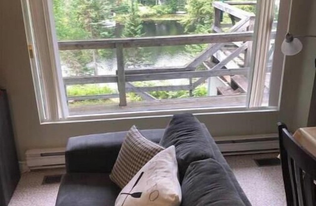 Beautiful Algonquin Lakefront Cottage Experience