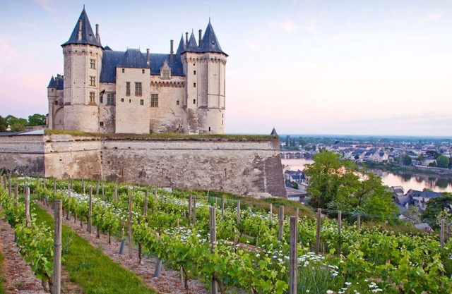 Beautiful apartment for 4 guests with WIFI, pool, TV, terrace, pets allowed and parking