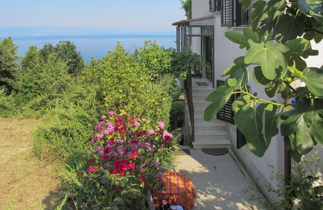 Beautiful apartment for 5 guests with A/C, WIFI, TV, terrace and parking