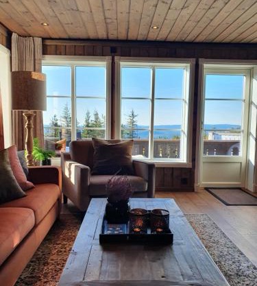 Beautiful cabin at Lifjell perfectly located for hiking and skiing with sauna