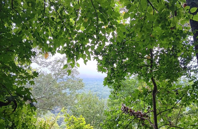 Beautiful Lookout Mountain view in Chattanooga/ev charger/SAUNA/Hot Tub