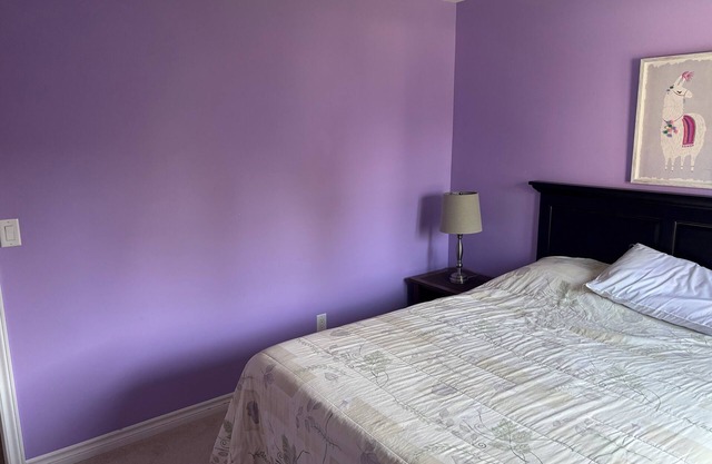 Beautiful Room, Comfortable Bed, South Facing Window