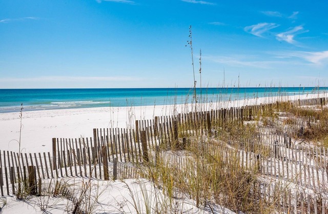 BEAUTY AT THE BEACH~Gulf/Beach/Lake Views~Heated Pool~Beach Gear~Gulf Trace!