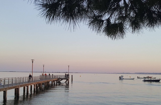 Bed and breakfast in the heart of the Arcachon basin