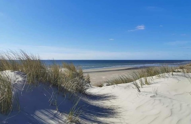 Bel appartement à deux pas des dunes