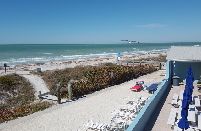 Belleair Beach 2 Bedroom Condo On The Beach