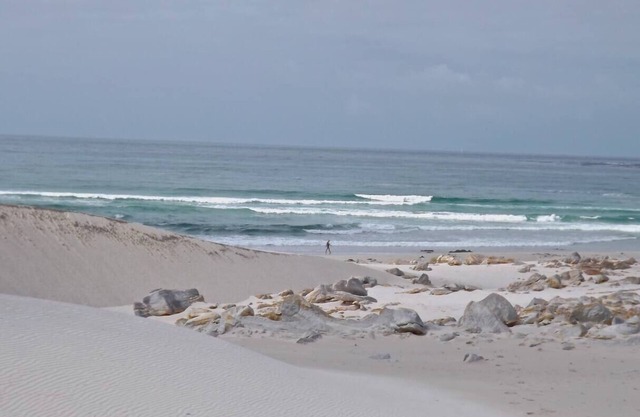 Betty's Bay- home to Stony Point penguin colony, and the Kogelberg Biosphere