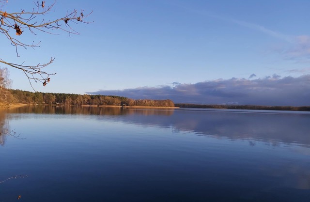 Between forest and lake .