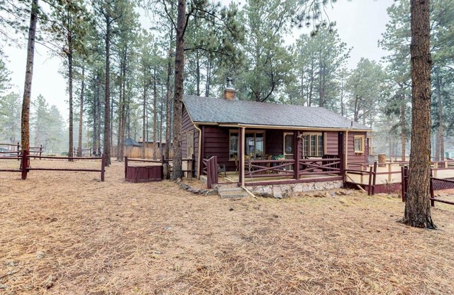 Big Bear Cabin