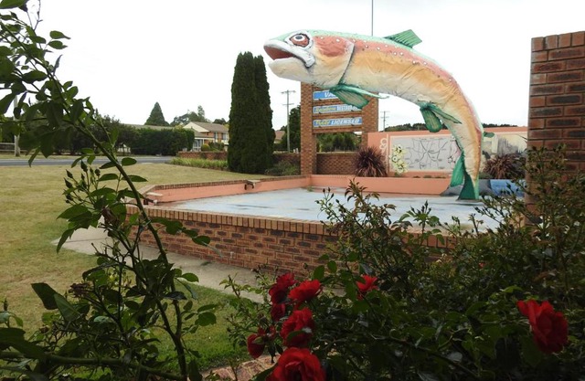 Big Trout Motel