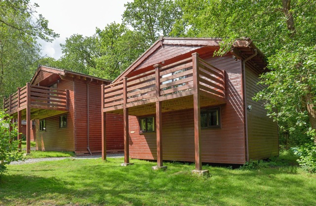 BIRCH TREE, family friendly in Halwill Junction