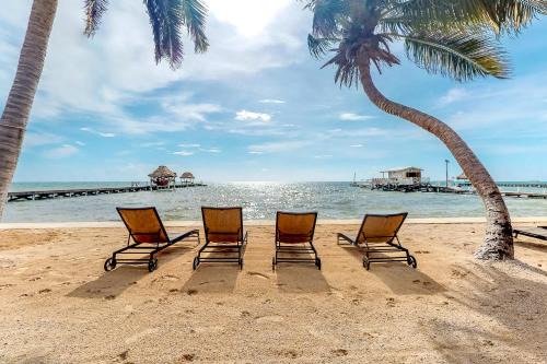 Black Orchid #22 at Caribe Island -Gold Standard Certified