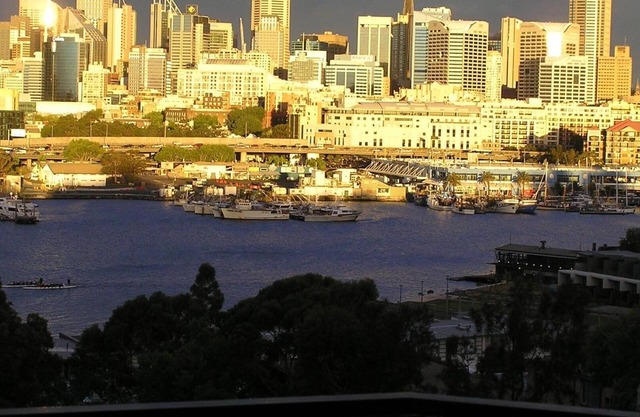 Blackwattle Bay Apartment