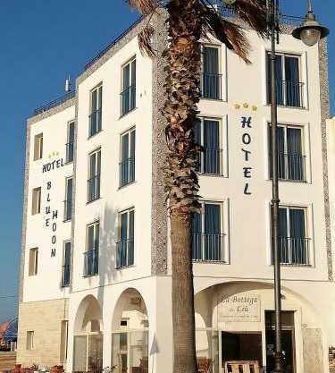 Blue Moon Hotel