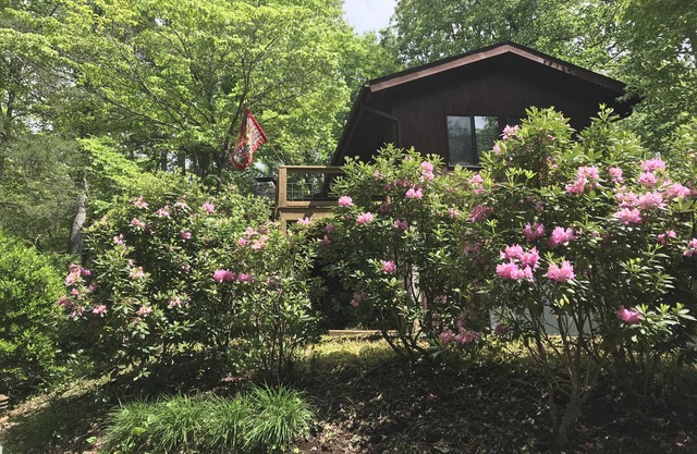 Blue Ridge Cabin at 3400' high near Asheville and Hiking