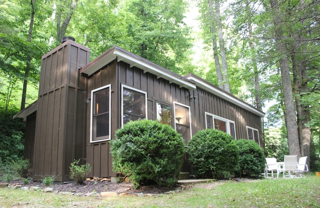 Blue Ridge Parkway Mid-Century Mountain Cabin