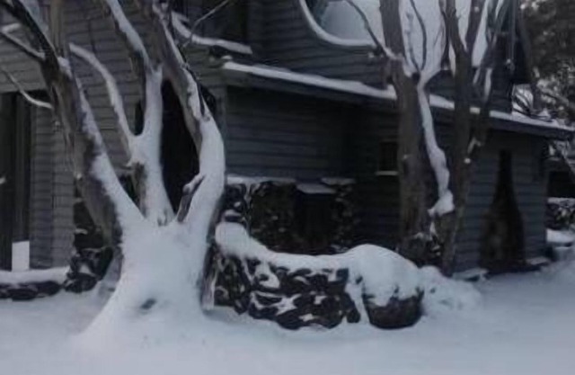 'Bogong' a romantic chalet for couples