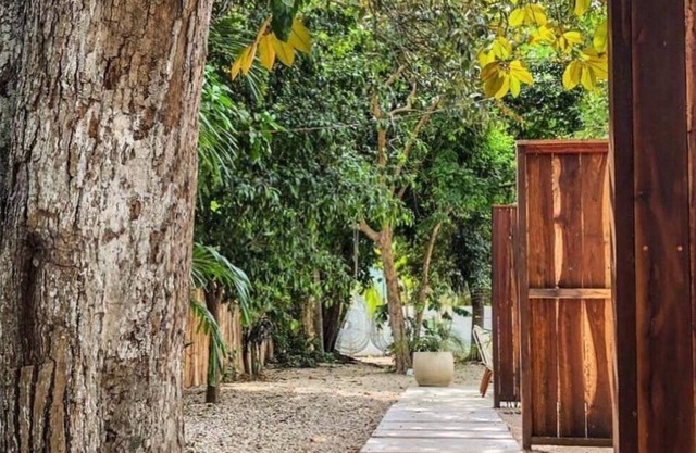 Bosquecito Bacalar