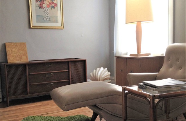 Botanical Garden & Foodie's Dream 950 Sq Ft of Mid Century Swank in St. Louis