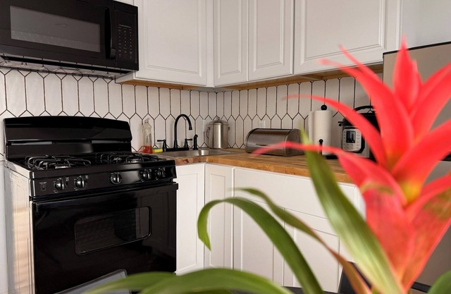 Brand new, cozy, private and peaceful one bedroom, one bath apartment