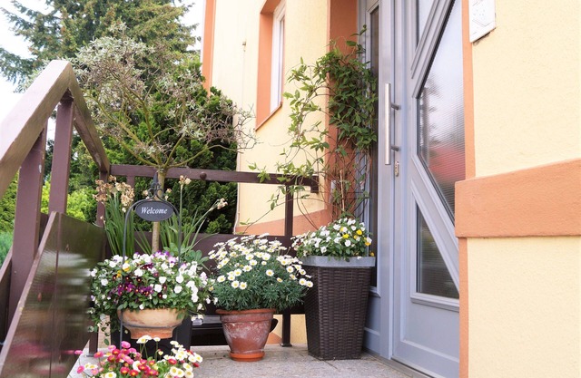Bright, friendly 2-room apartment close to the city center