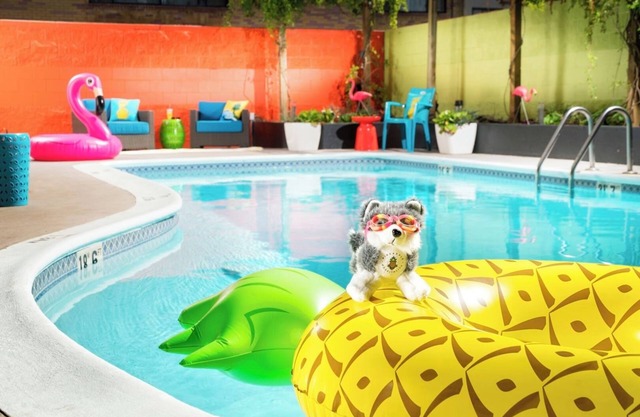 Bright Two Queen Stay, Near Burke Museum, Staypineapple, 2 Rooms