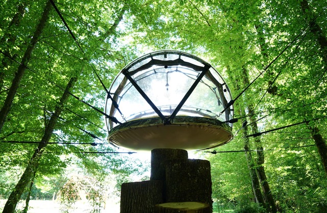 Bulle Suspendue Entre Prairie et Forêt Avec Petit Déjeuner Pour 2 Personnes
