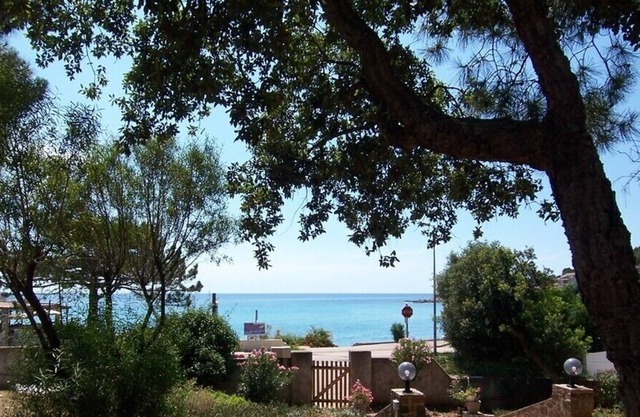 BUNGALOW A Marina T2 B -2* - FRONT OF THE SEA
