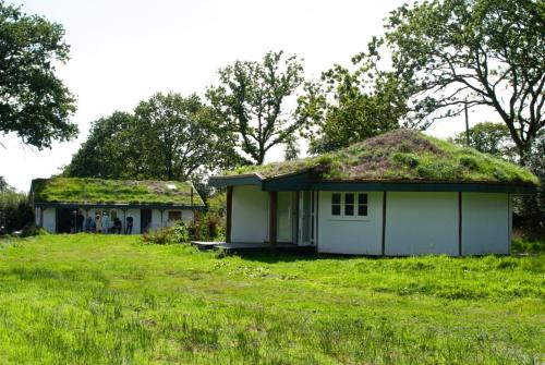 Buzzard's Nest Glamping Walnut