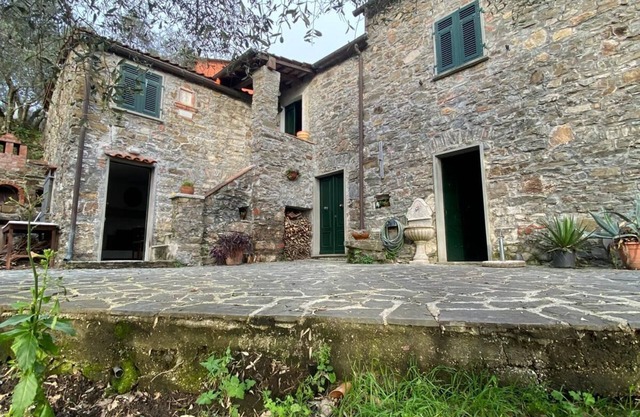 Cà Chiavarotto in the olive trees