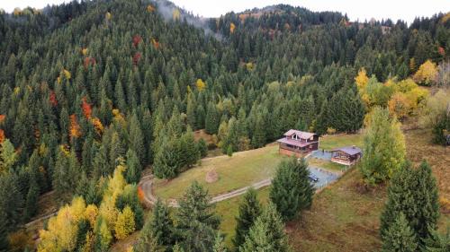 Cabana din Munți
