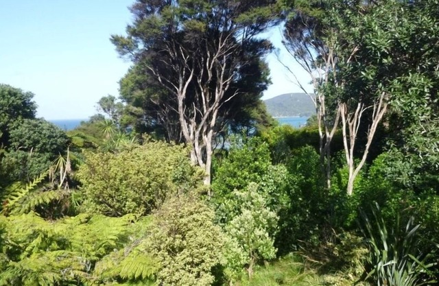 Cabbage Tree Cottage: Cosy home with bush and beach beyond