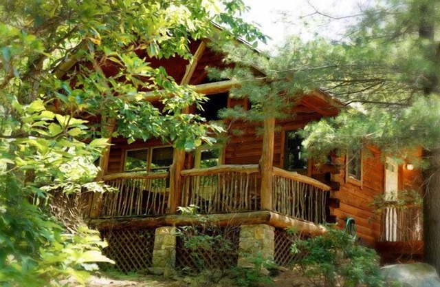 Cabin #6 - Laurel Haven | 0 Bed, 1 Bath