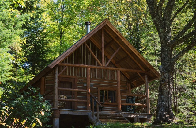 Cabin, Double, Twin and Shared Bathroom