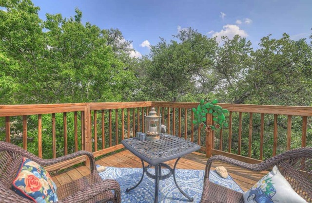 Cactus Flower Treehouse-pet Friendly-hill Country Views!