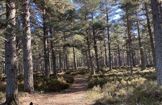 Cairn Toul is a comfortable well equipped chalet ideal for a Highland break