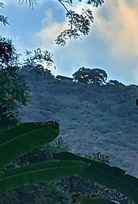Camping São Conrado com cachoeira exclusiva, perto da praia e da Pedra Bonita