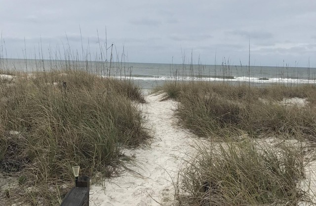 Cape San Blas North End Gulf Side