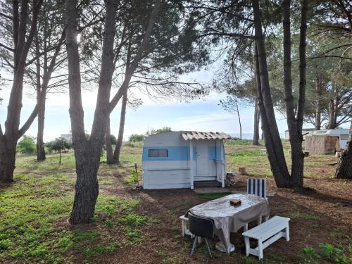 Caravane janis on the beach