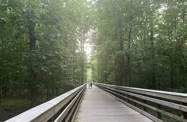 Cary RDU Retreat-Along Cary Greenway