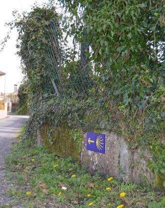 Casa Aurora